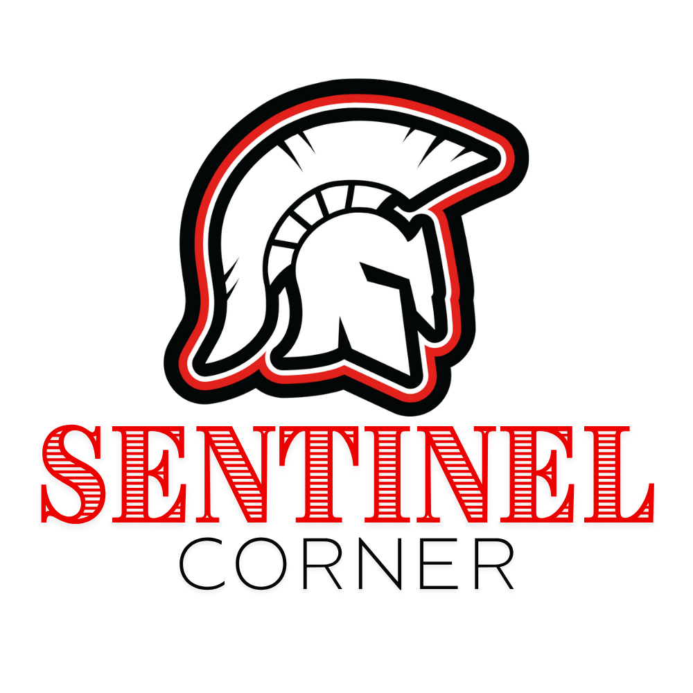 Sentinel Corner Stripe Logo